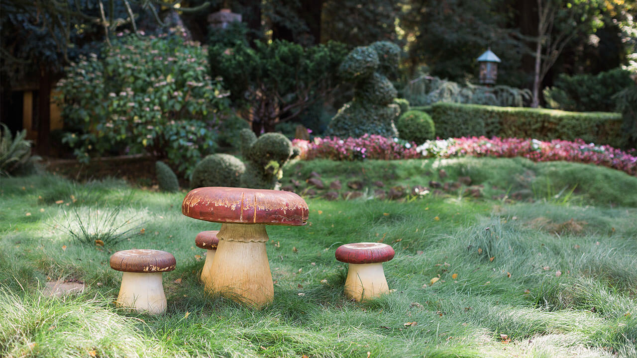 Credit-Dylan-Crossley-Photo-Statues